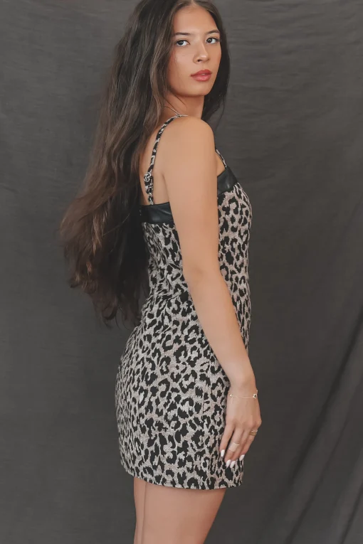 An Entrance Was Made Leopard Mini Dress