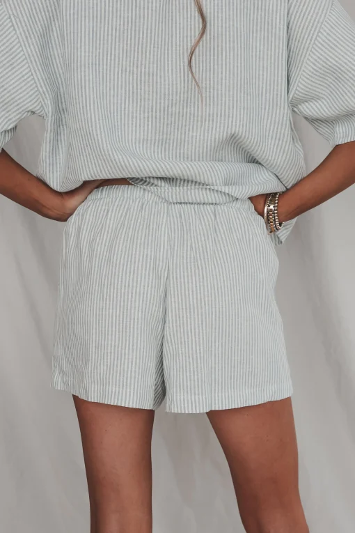 Having A Boat Day Light Blue Striped Shorts
